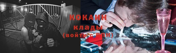 метадон Алексин
